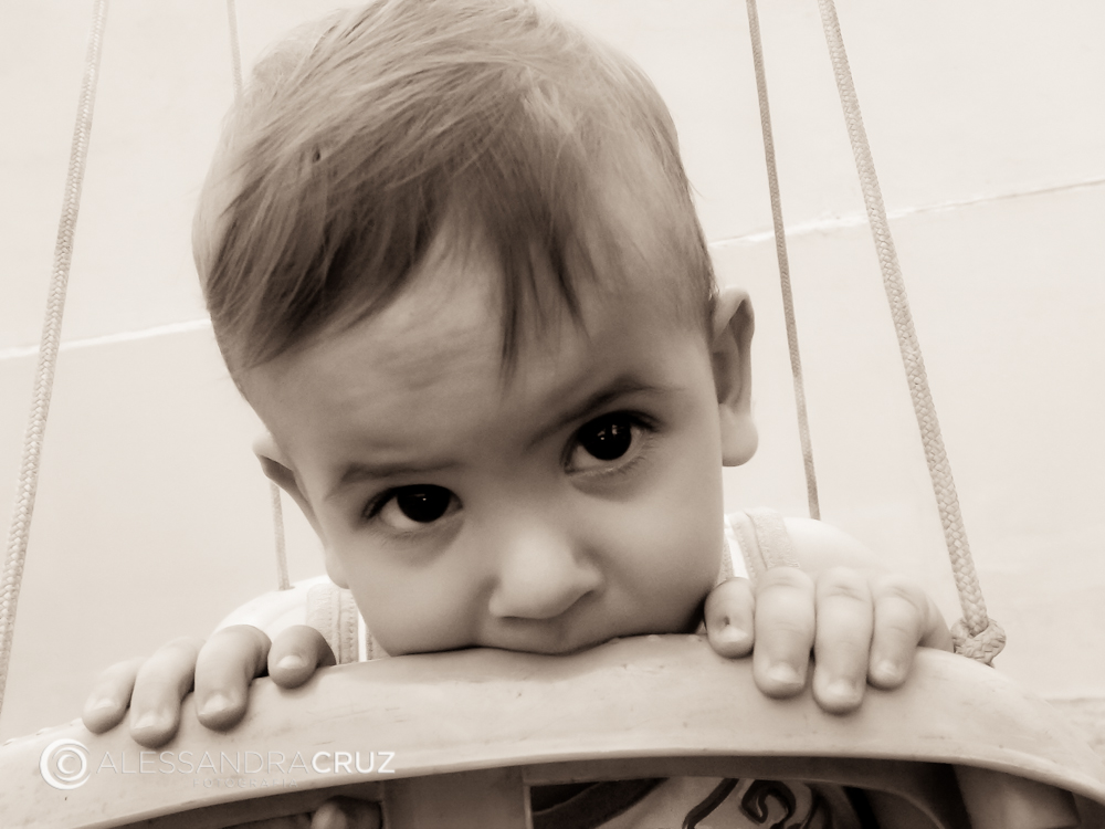© 2008 Alessandra Cruz All Rights Reserved